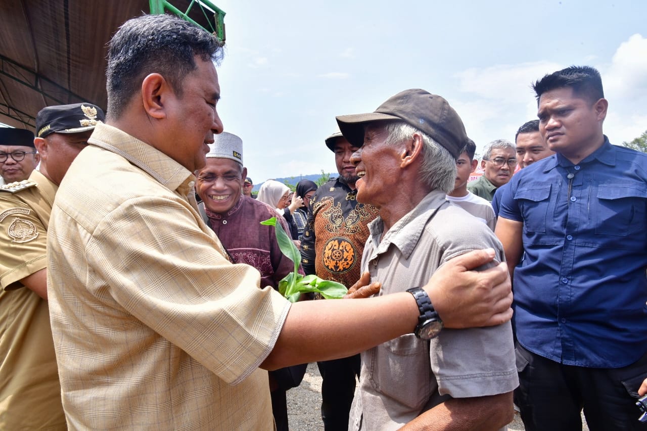 Tanam Perdana Pisang Cavendish di Lutim, Petani Terharu Terima Bantuan Bibit
