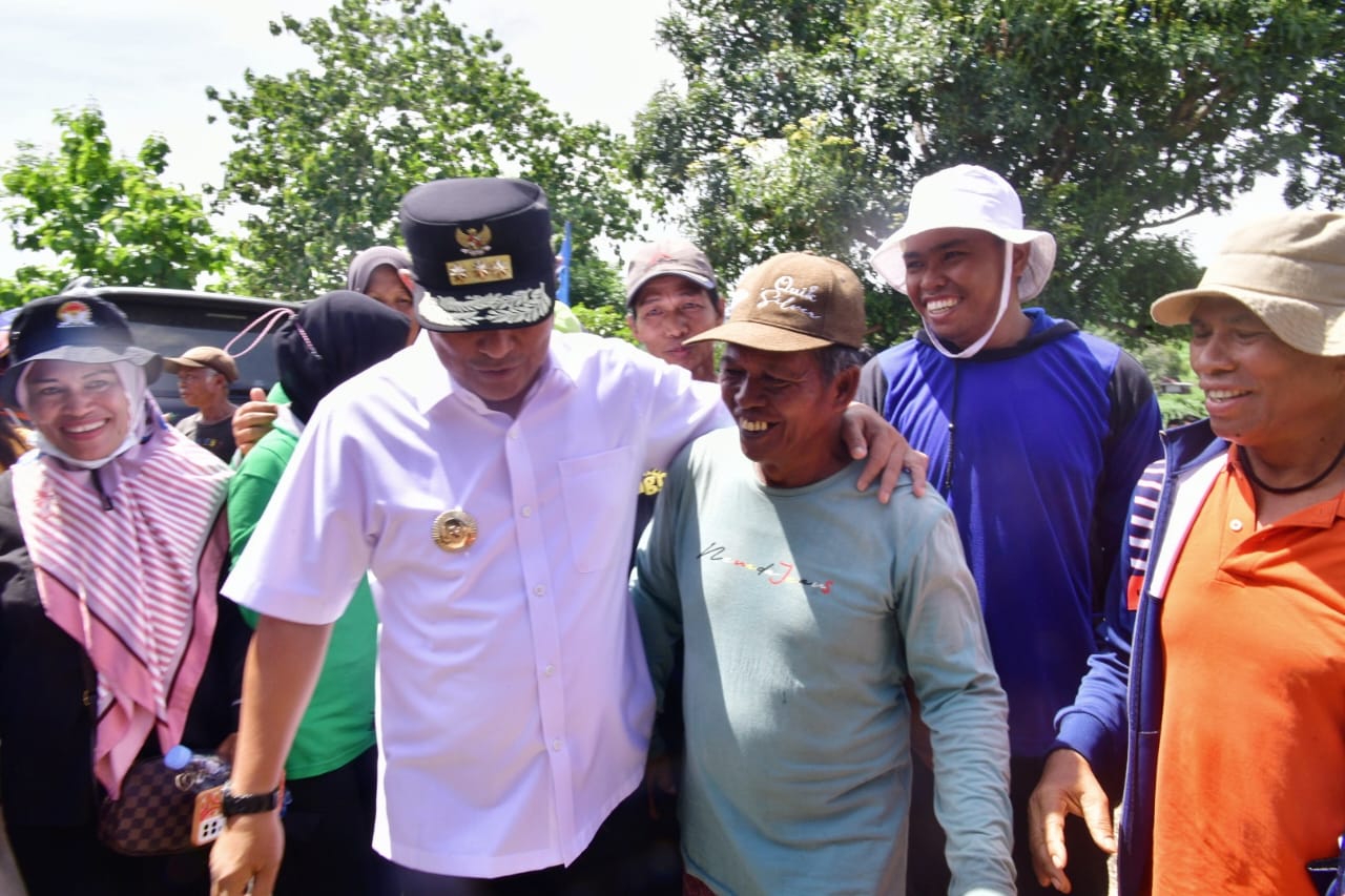 Kreativitas Petani Desa Buae Sidrap, Tanam Pisang Cavendish Tumpang Sari dengan Kacang Tanah