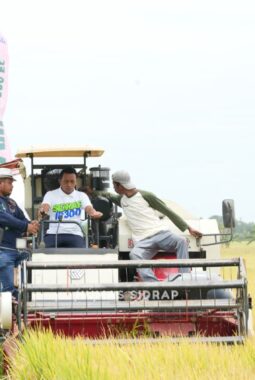Panen Raya Padi di Otting, Bupati Sampaikan Langkah Strategis Perkuat Pertanian