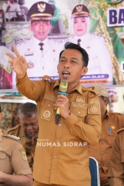 Panen Raya Padi, Bupati Sidrap Dorong Modernisasi Pertanian Demi Peningkatan Produksi & Kesejahteraan Petani
