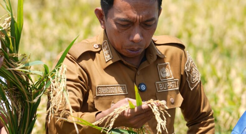 foto slider headline