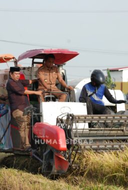 Panen Padi di Salobukkang, Bupati Sidrap Fokus Peningkatan Pendapatan Petani