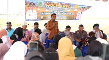 Panen di Wala, Bupati Sidrap Semangati Petani Kejar Target 10 Ton