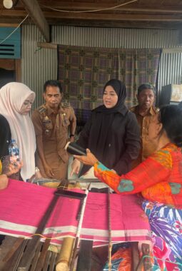 Wakil Gubernur Sulsel Dorong Eksistensi Tenun Lipa Sabbe Sidrap