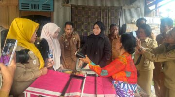 Wakil Gubernur Sulsel Dorong Eksistensi Tenun Lipa Sabbe Sidrap