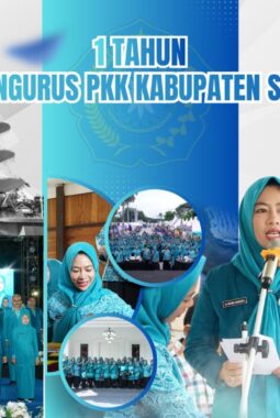 1 Tahun TP PKK Berkinerja: Berdampak Luar Biasa untuk Sidrap