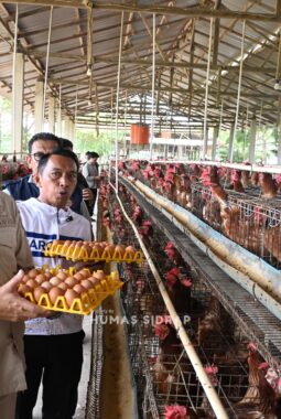 Bupati Sidrap Sebut Kunjungan Pemkab Malinau Pacu Sinergi Antardaerah