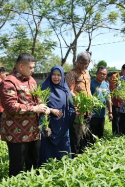 Kunjungi Dua Lokasi, Appi Pastikan Urban Farming Jadi Prioritas di Semua Kecamatan
