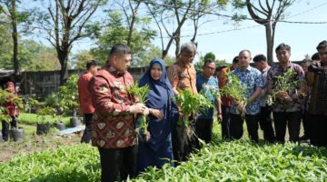 Kunjungi Dua Lokasi, Appi Pastikan Urban Farming Jadi Prioritas di Semua Kecamatan