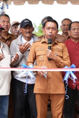 Sawah Tadah Hujan ‘Merdeka’ Air: Bupati Sidrap Pasang Target Produksi 10 Ton/Hektare Sidenreng Rappang
