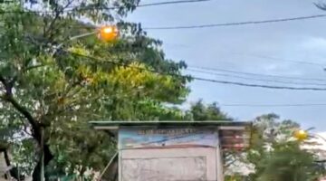 Pemkot Makassar Tertibkan 178 Lapak PKL di Mariso, Utamakan Pendekatan Humanis