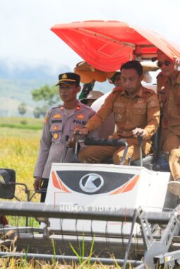 Potret Sinergi Pemkab Sidrap dan Petani Kawal Swasembada Pangan