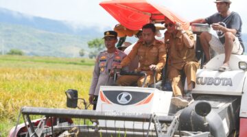 Potret Sinergi Pemkab Sidrap dan Petani Kawal Swasembada Pangan