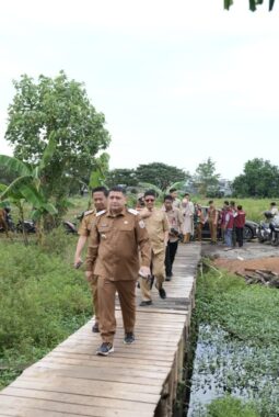 Urban Farming Jadi Andalan, Wali Kota Makassar Minta Warga Maksimalkan Pekarangan