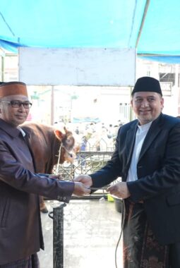 Saksikan Penyembelihan Sapi Kurban dari Presiden, Munafri dan Ketua TP PKK Ucapkan Terima Kasih ke Prabowo