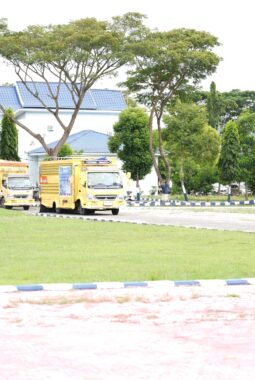 Sidrap Kirim 22 Ribu Rak Telur ke Berbagai Daerah, Perkuat Peran sebagai Sentra Produksi Nasional