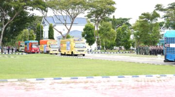 Sidrap Kirim 22 Ribu Rak Telur ke Berbagai Daerah, Perkuat Peran sebagai Sentra Produksi Nasional
