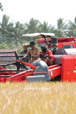 30 Combine Harvester Bergerak Bersama, Panen Raya IP 300 di Bila Riase Jadi Sorotan