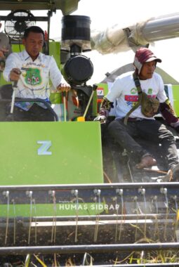 Panen PM-AAS Sidrap Lampaui Target, Produktivitas Capai 11 Ton per Hektare