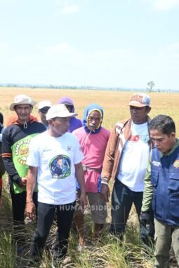 Bupati Syahar Turun Menyusuri Sawah Tiga Kecamatan, Ikhtiar Jaga Produktivitas di Tengah El Nino
