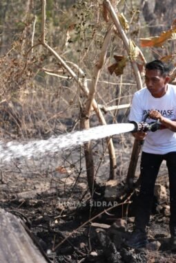 Bupati Sidrap Turun Bersama Damkar Padamkan Kebakaran di Lawawoi, Imbau Warga Waspada