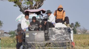 Di Usianya Yang Masih Duduk di Bangku SD, Fadil Buktikan Generasi Muda Bisa Jadi Petani Modern