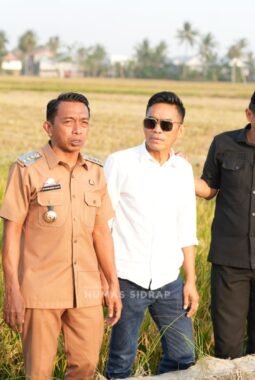 Bupati Sidrap Cek Sawah Bangkai, Pastikan Program Listrik Masuk Sawah Jaga Produktivitas Padi