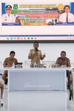 Dari Pompanisasi hingga Pola Tanam, Cara Sidrap Jaga Produktivitas Pertanian